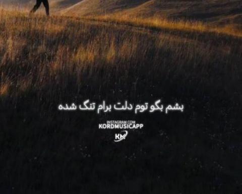 عکس پیام عباسی خواننده