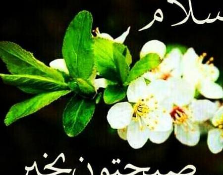 پیامک صبح بخیر با عکس