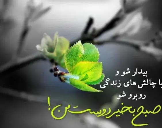 عکس نوشته پیام صبح بخیر