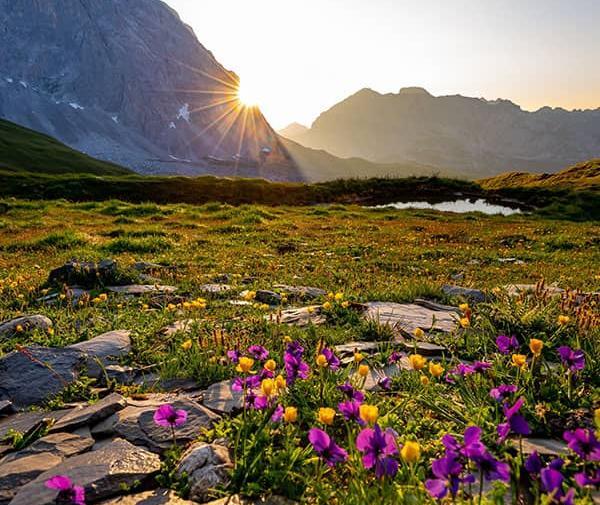 عکس نوشته پیام صبحگاهی