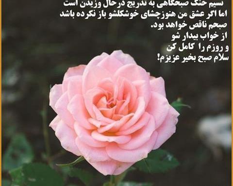 پیام صبح بخیر همراه با عکس