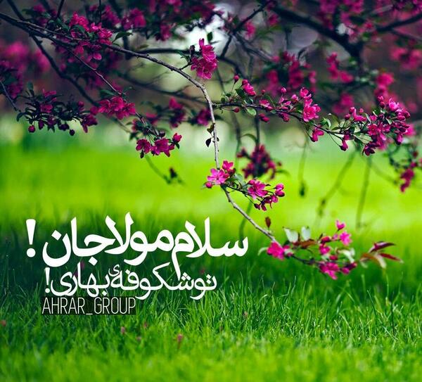 عکس پروفایل در پیام رسان بله