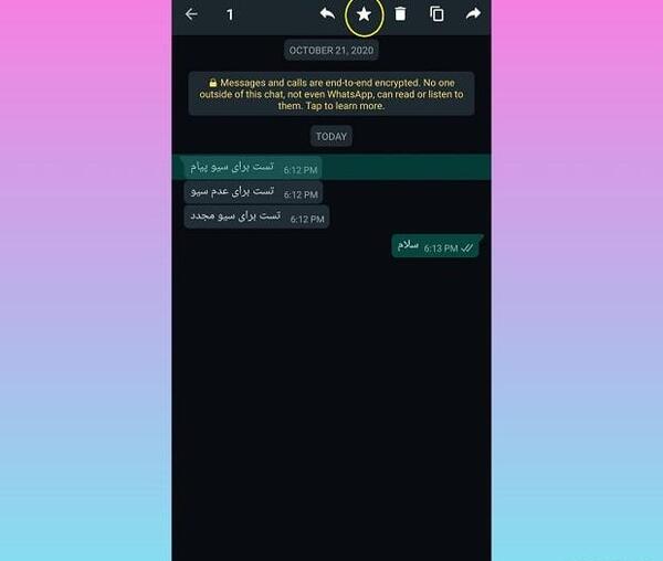 عکس پیام های ذخیره شده واتساپ
