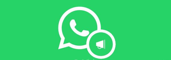 عکس پیام های ذخیره شده واتساپ