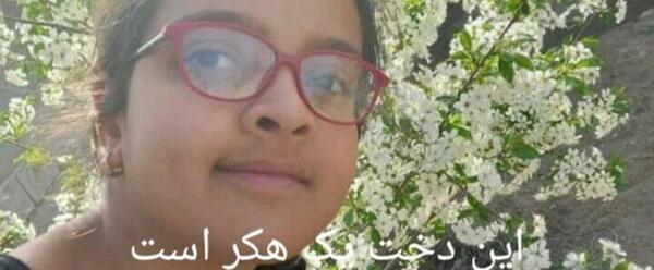 عکس پیام دادن مرینت و آدرین