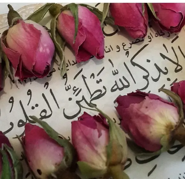 عکس پروفایل پیام قرانی