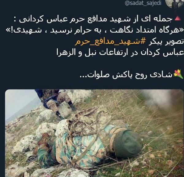عکس زیبای شهید
