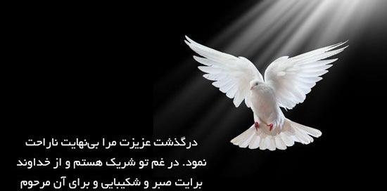 عکس پیام تسلیت برای مادر دوستم