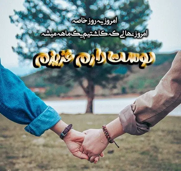 عکس هشتمین ماهگرد