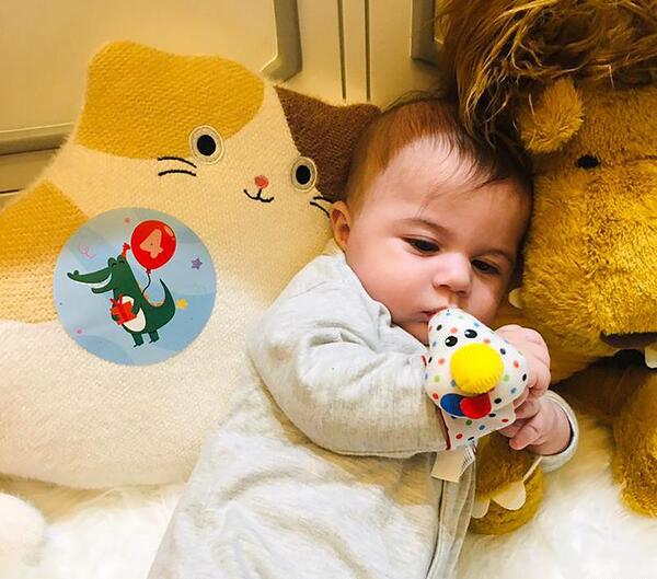 ایده عکس ماهگرد با گردو