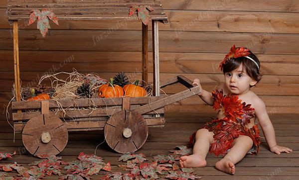 مدل عکس ماهگرد پاییزی