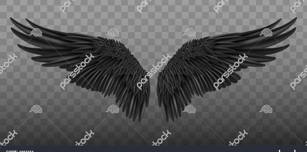 عکس یک فرشته واقعی