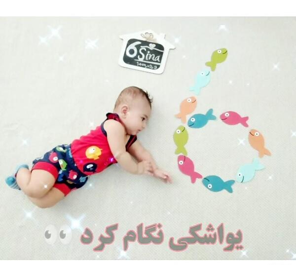 عکس ماهگرد نوزاد 6 ماهه