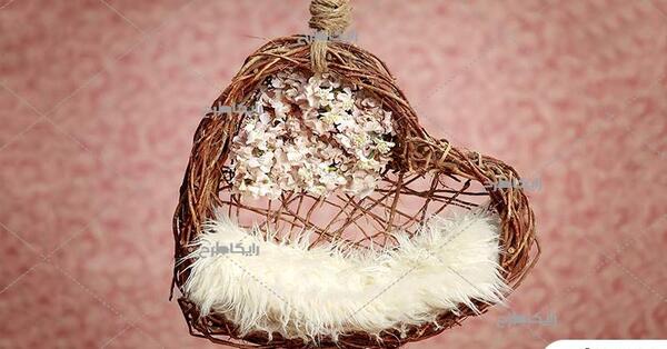 دانلود پس زمینه عکس ماهگرد نوزاد