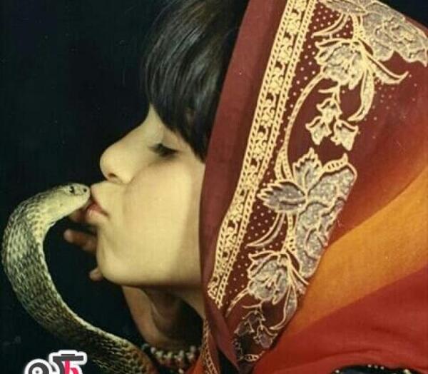 عکس ملکه مار واقعی