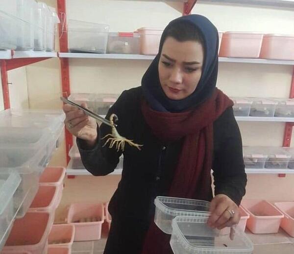 عکس ملکه مار واقعی