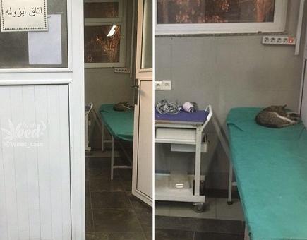عکس داخل بیمارستان روی تخت