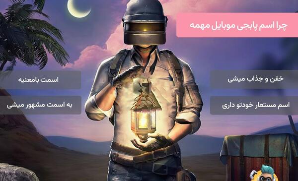 عکس های زیبا پابجی