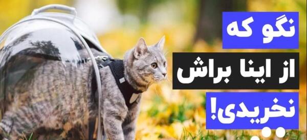 عکس وسایل بچه گربه