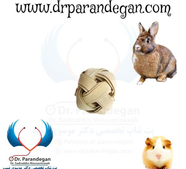 عکس وسایل خرگوشی