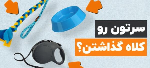 عکس وسایل سگ پاکوتاه