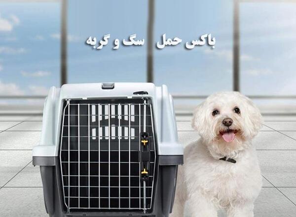عکس وسایل سگ پاکوتاه