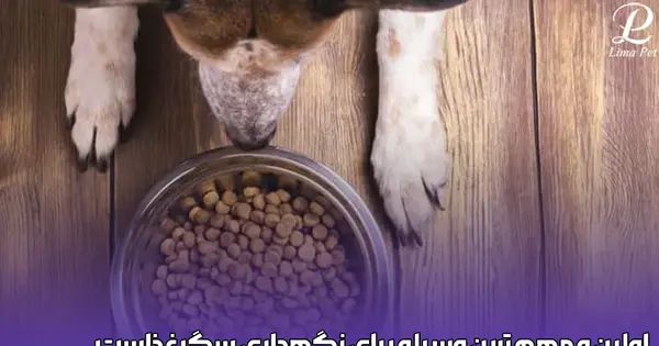 عکس وسایل سگ جیبی