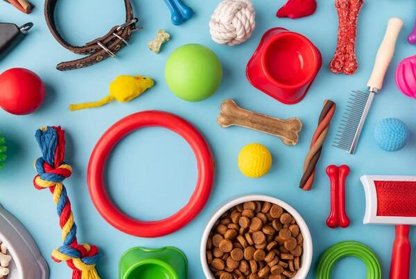 عکس وسایل سگ ها
