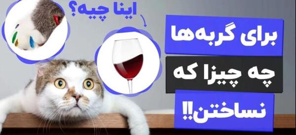 عکس وسایل گربه ای