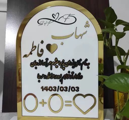 عکس دو میمون عروس داماد
