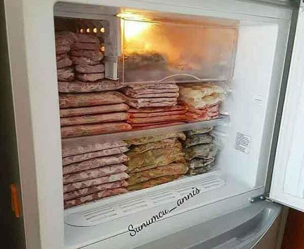عکس وسایل داخل یخچال