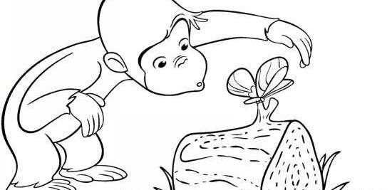 عکس میمون برای رنگ امیزی