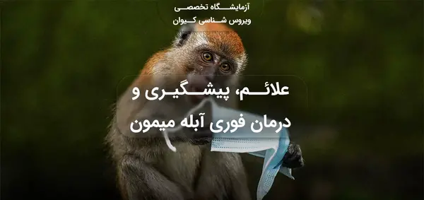 عکس آبله میمون در ایران نی نی سایت