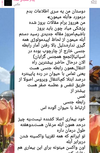 عکس آبله میمون در ایران نی نی سایت