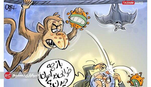 عکس آبله میمون در