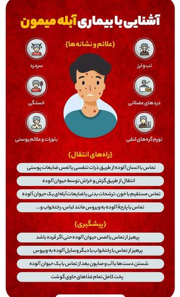 عکس آبله میمون در