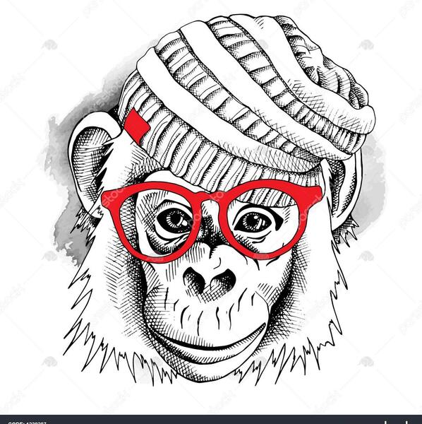عکس میمون با عینک افتابی