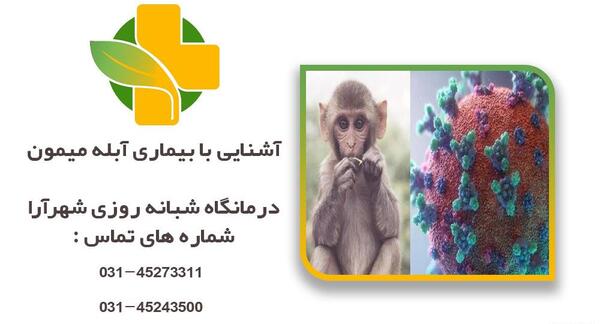 عکس میمون با عینک طبی
