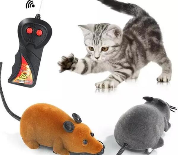 عکس وسایل بازی گربه