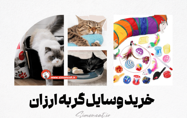 عکس وسایل برای گربه