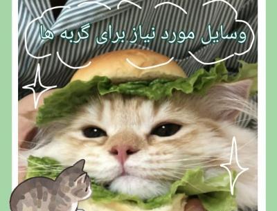 عکس وسایل برای گربه