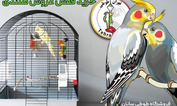 عکس وسایل بازی عروس هلندی