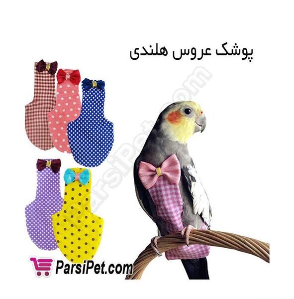 عکس وسایل های عروس هلندی