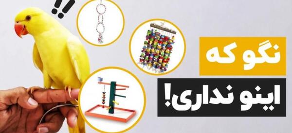 عکس وسایل های عروس هلندی