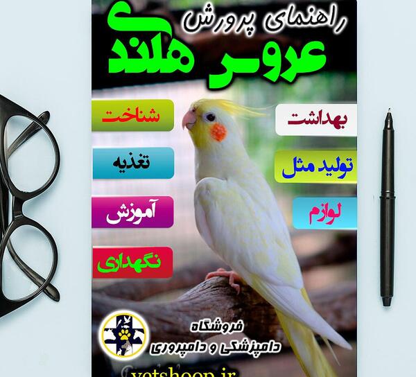 عکس وسایل های عروس هلندی