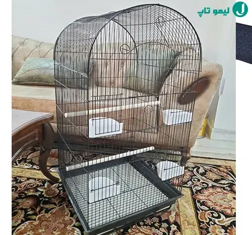 عکس وسایل قفس عروس هلندی