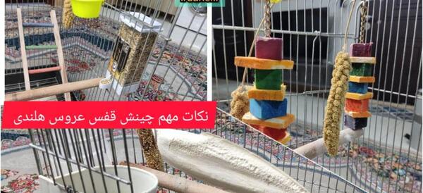 عکس وسایل قفس عروس هلندی
