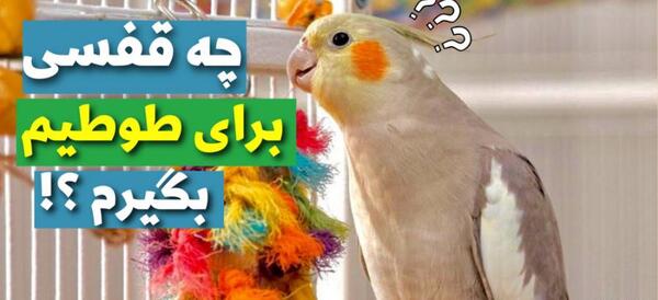 عکس وسایل قفس عروس هلندی