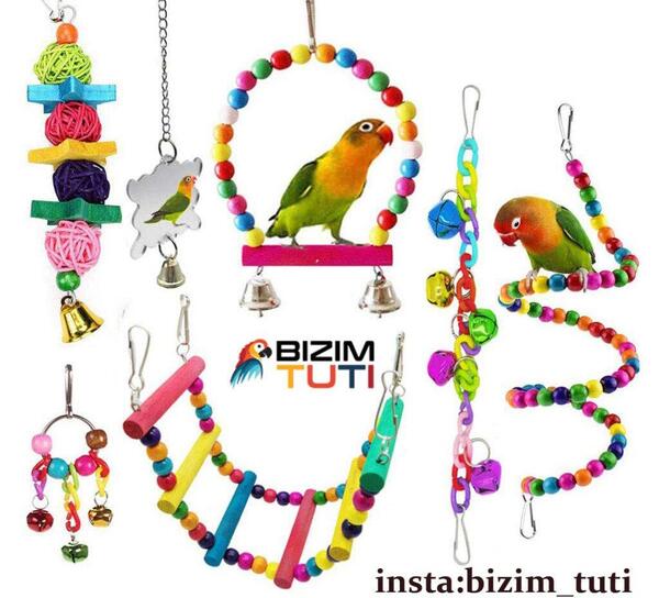 عکس وسایل طوطی برزیلی