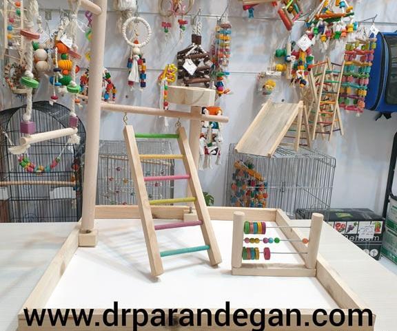 عکس وسایل بازی طوطی برزیلی